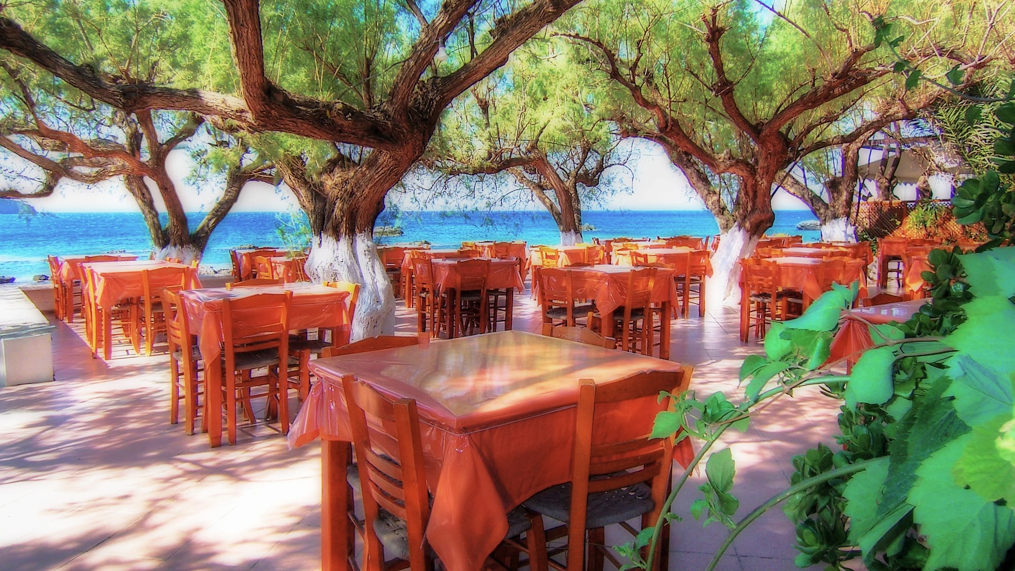 Taverna tables under the trees by the sea